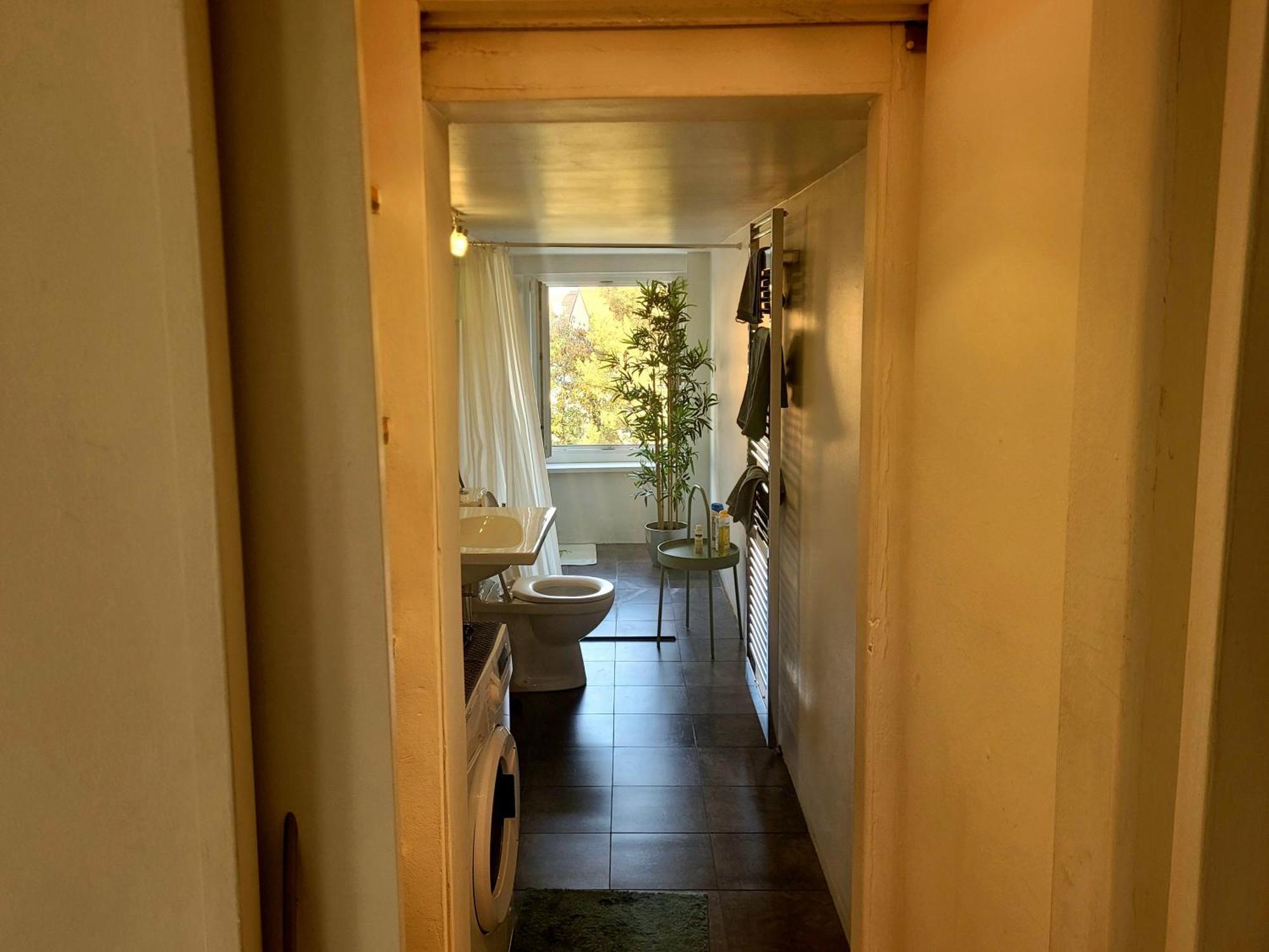 Romantic Loft I 115sqm Graz